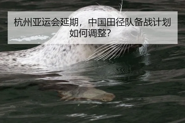 杭州亚运会延期，中国田径队备战计划如何调整？