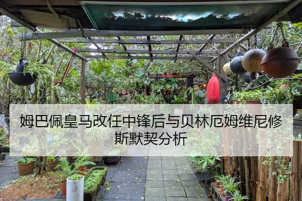 姆巴佩皇马改任中锋后与贝林厄姆维尼修斯默契分析
